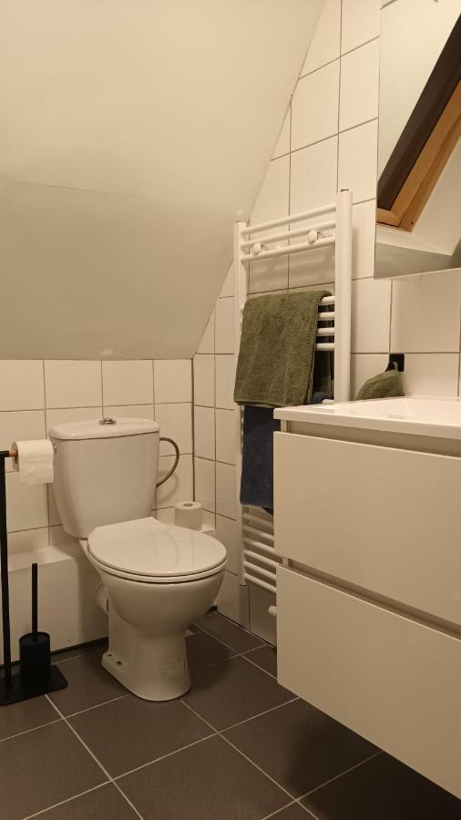 Al In Den Aap Gelogeerd? Apartment Mechelen Bagian luar foto