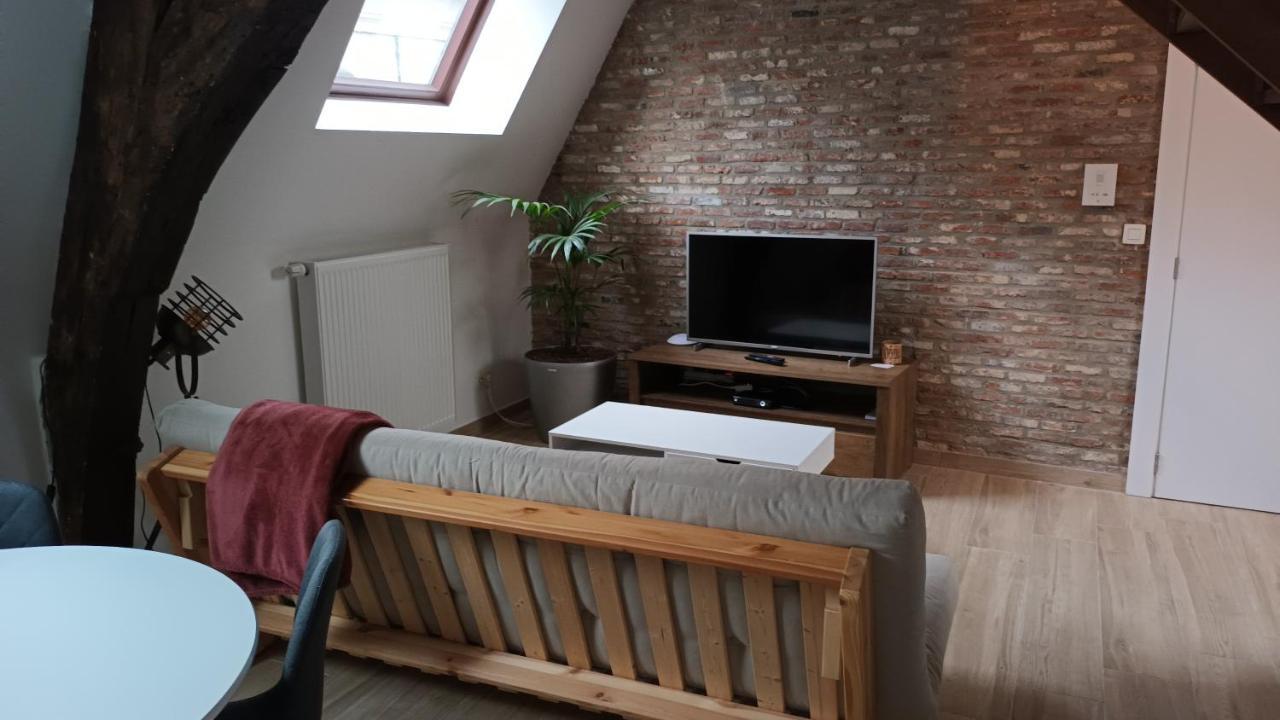 Al In Den Aap Gelogeerd? Apartment Mechelen Bagian luar foto