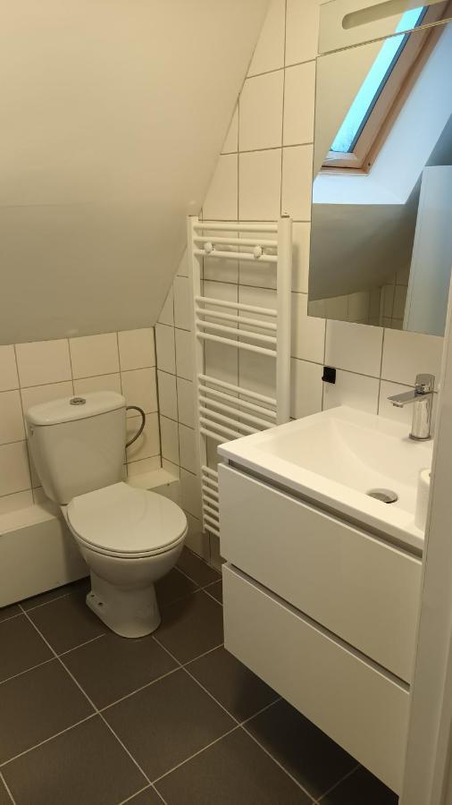 Al In Den Aap Gelogeerd? Apartment Mechelen Bagian luar foto